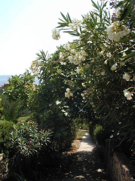 Apartments Cacija Trogir Luaran gambar